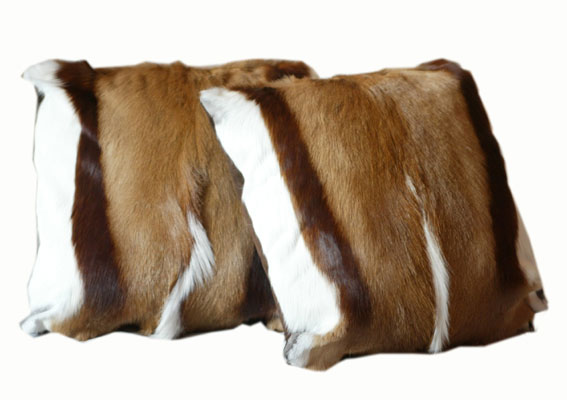 Cushions